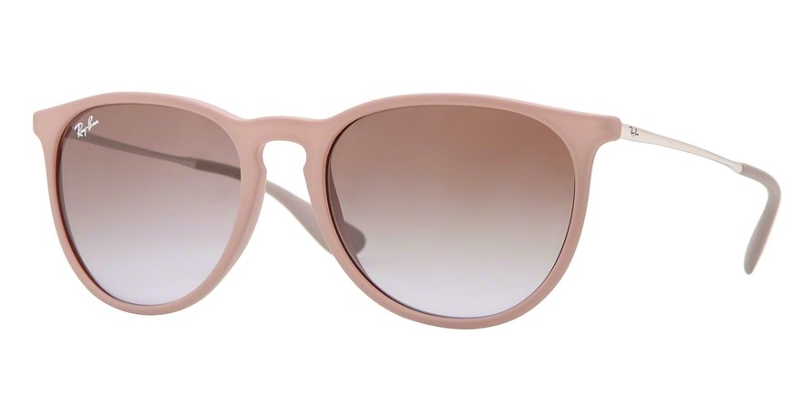 Ray-Ban RB4171 ERIKA Sunglasses