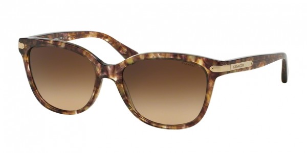Coach HC8132 L109 Sunglasses