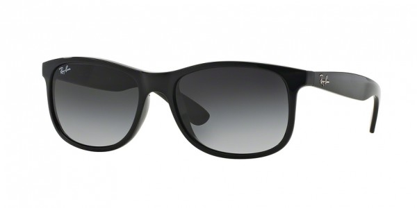 Ray-Ban RB4202 ANDY Sunglasses